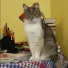 Отзыв от Жанна Кочетова